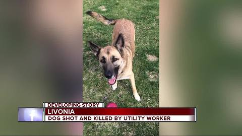 Livonia family demands answers after utility worker shoots, kills dog