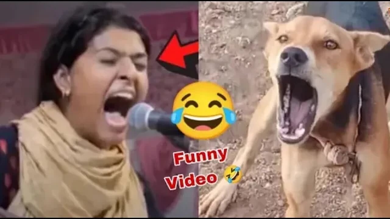 NOORAN SISTERS FUNNY VIDEO🤣 | nooran sisters funny song video 🤣🤣 video | today viral video