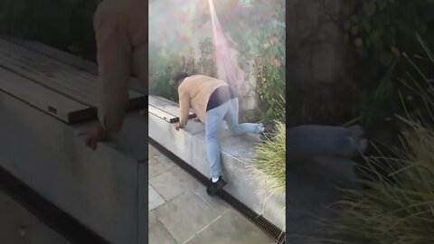Push-up Injury 🤣