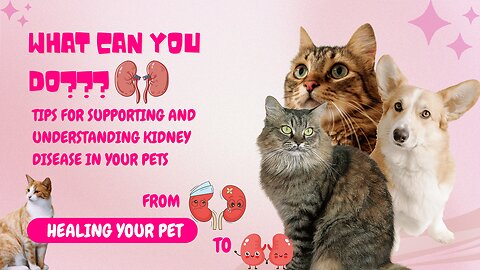 Dog | Cat| Pet Nutrition |The Answers to your Pet's Kidney Disease: What you can do to help!