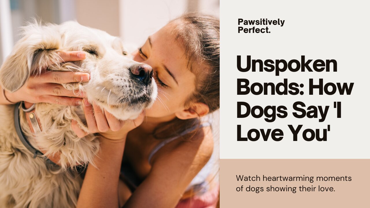 Unspoken Bonds: How Dogs Say 'I Love You