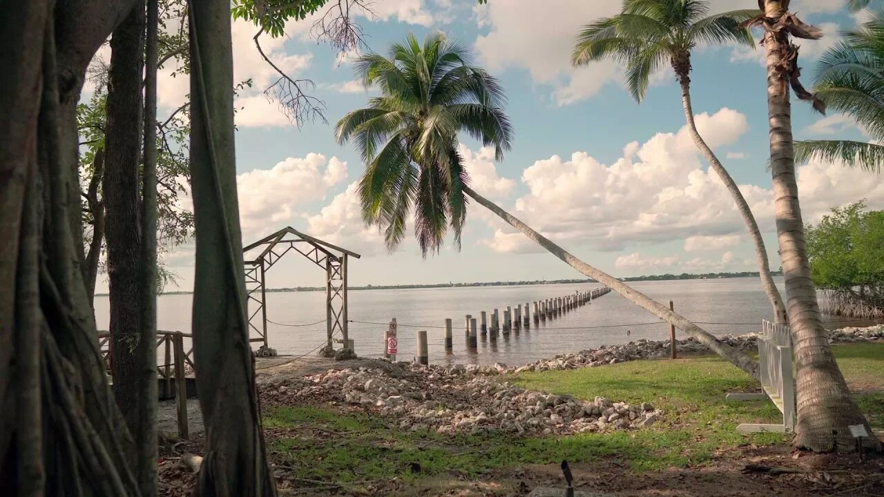 Edison & Ford Winter Estates - Sony a6500 + Sigma 16mm f1.4 + Moza Air Gimbal