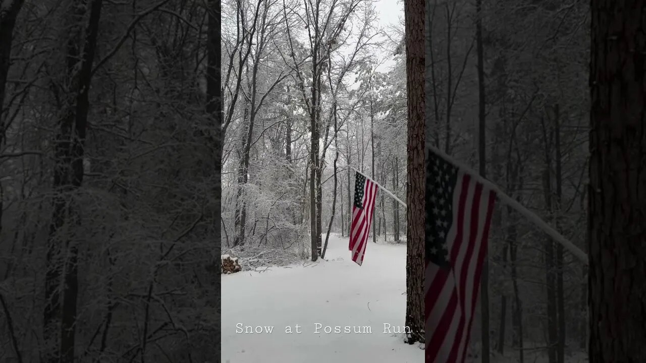 Snowfall in Arkansas ASMR #asmrsounds #tinyhouse