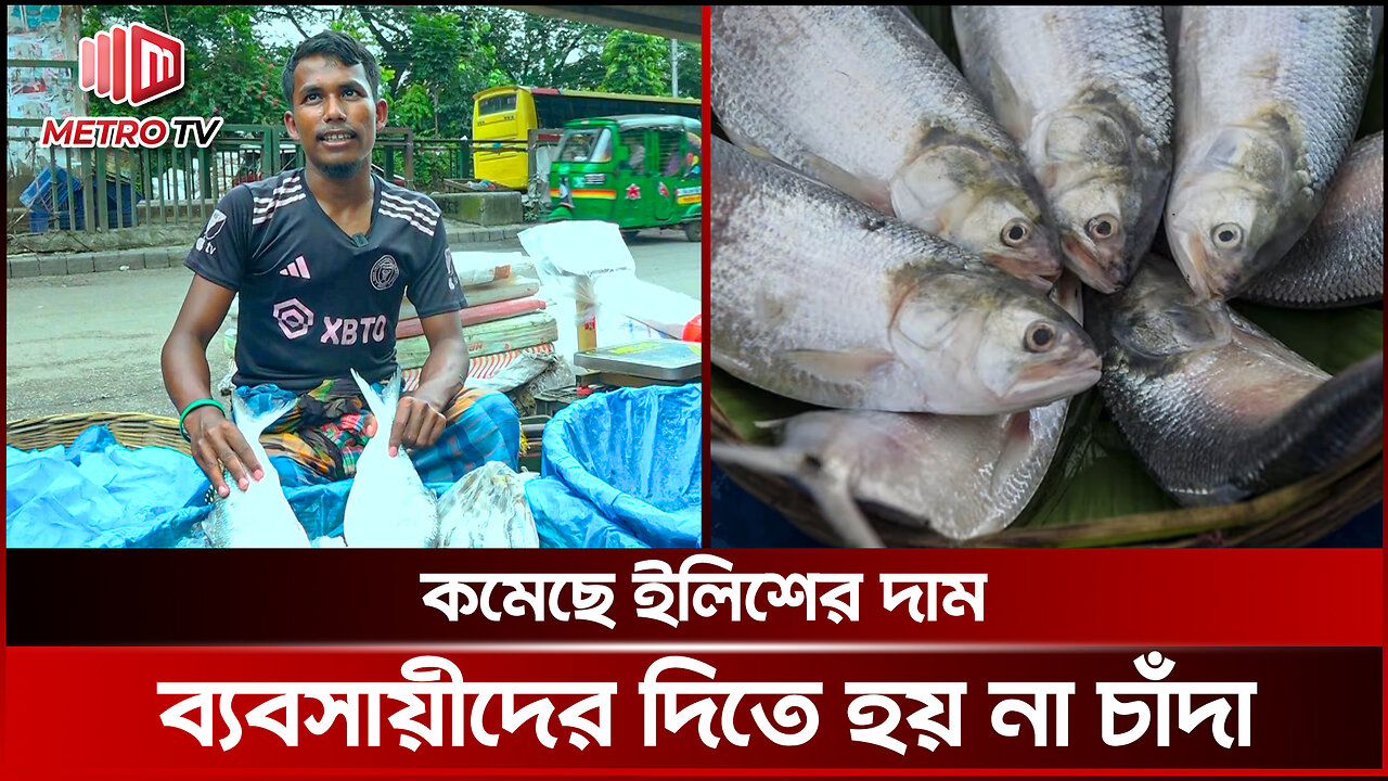 এখন চাঁদা দেওয়া লাগে না, স্বাধীনভাবে ব্যবসা করে | Fish Market The Metro TV