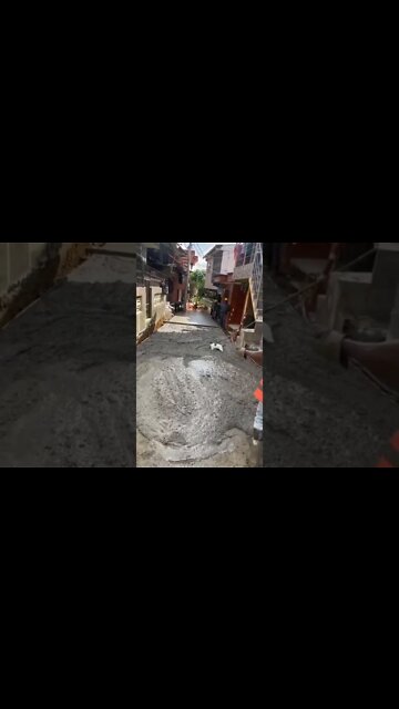 Kitty 🙀 MY BAD 🤣