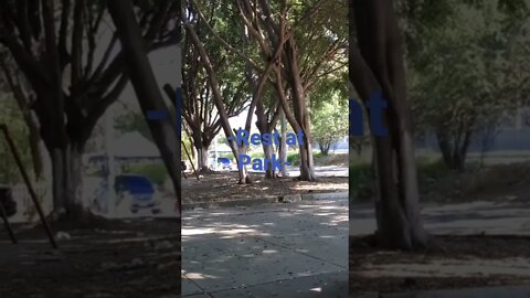 Rest at Park
