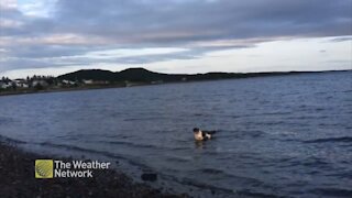 Cloudy but peaceful at sunrise on the east coast