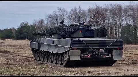 Release the leopards