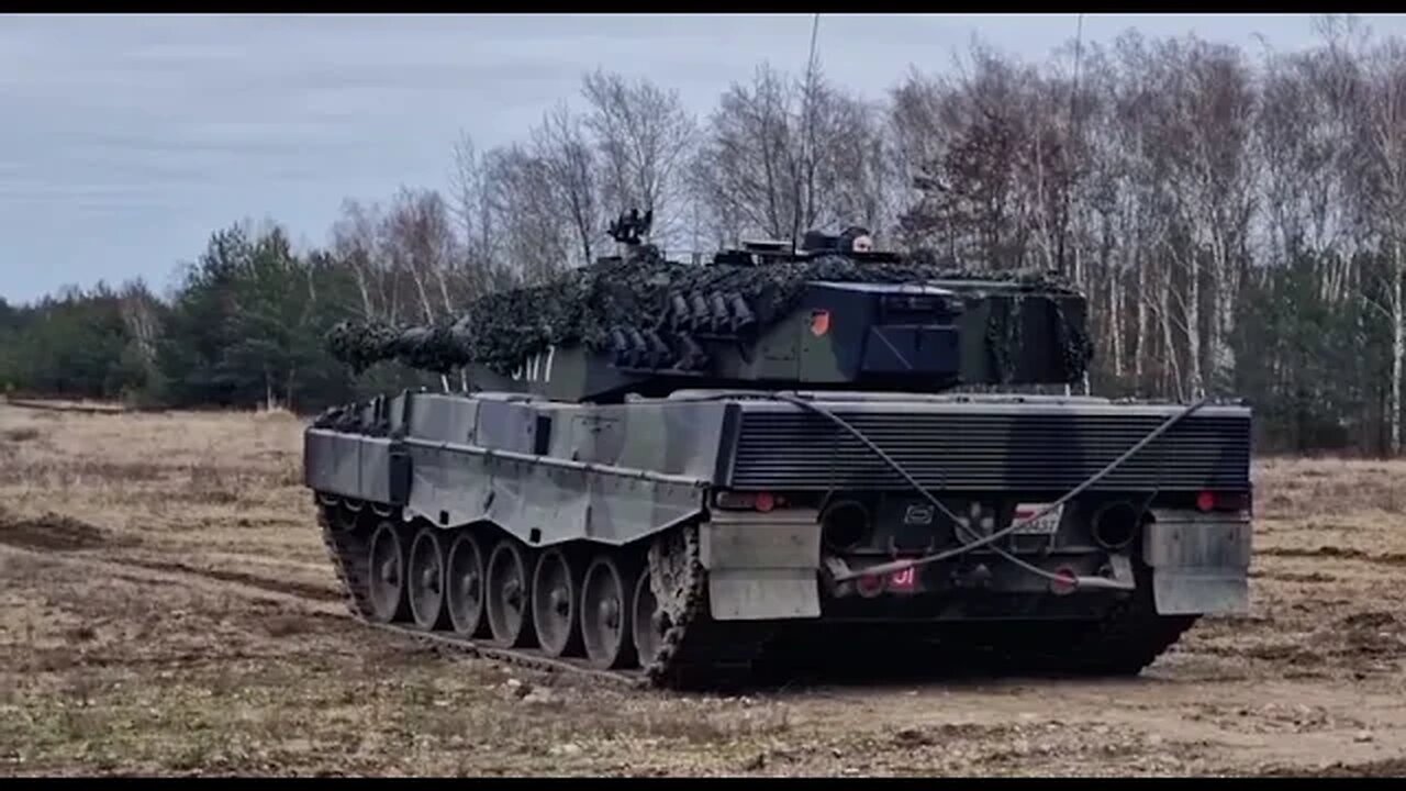 Release the leopards