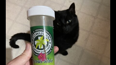 Cats Review Meowijuana Catnip Review