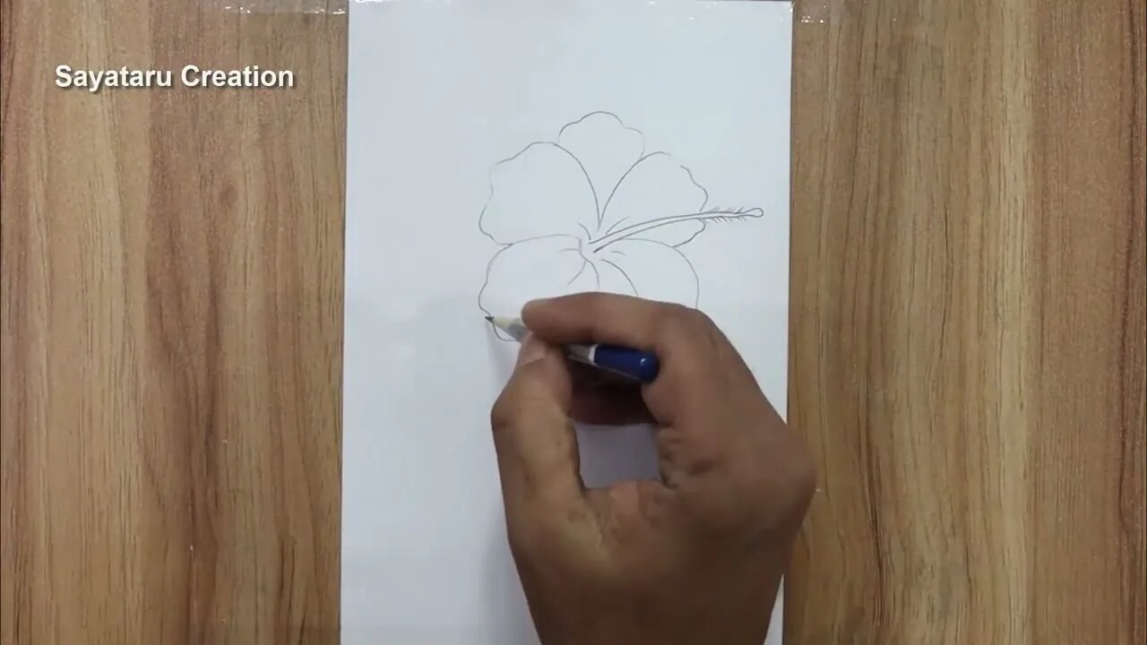 How to draw a hibiscus flower step by step pencil sketch