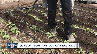 Signs of growth on Detroit's east side