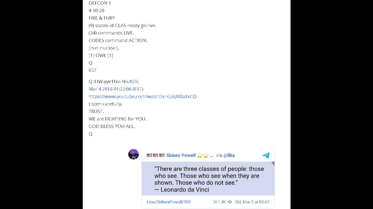 This Video Will Get Donald Trump Elected (2016)