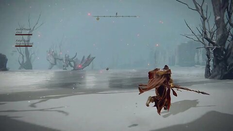 Elden Ring - Invader Tried to use Borealis the Freezing Fog, Backfires - Co-operator (Astrologer) PC