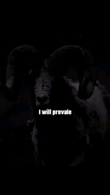 AMERICAN PATRIOTS ARE NOT AFRAID OF THE DEVIL IN THE WHITE HOUSE WE WILL PREVAIL #TRUMP2024 #MAGA