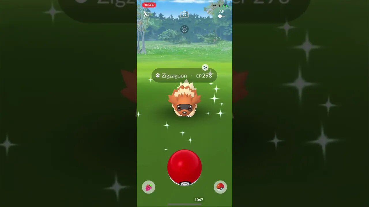 Shiny Compilation