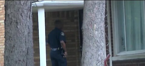 Detroit Police Department aims to better serve those struggling with mental illness