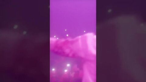 Highlights of AG BABY live performance at Boston "Adekunle Gold"