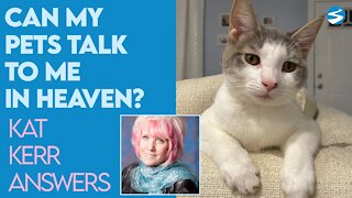 Kat Kerr Can My Pets Talk to Me in Heaven? | Jan 13 2021