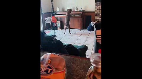 A song for you. 😁