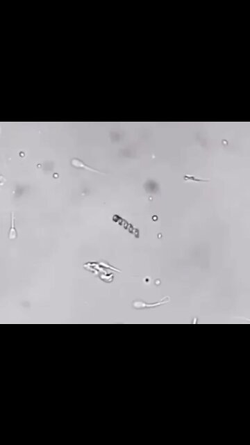 Nanotechnology in action