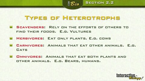 Nutrition and Energy Flow Part 1