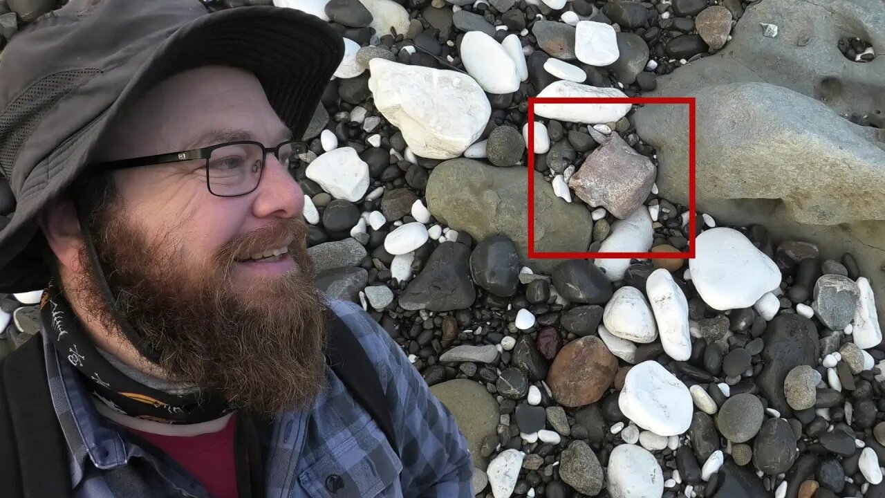 Fossil hunting on the beach: I find some cool treasures washed up on the rocks