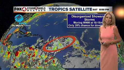 Tropics Update Saturday 8/3 PM