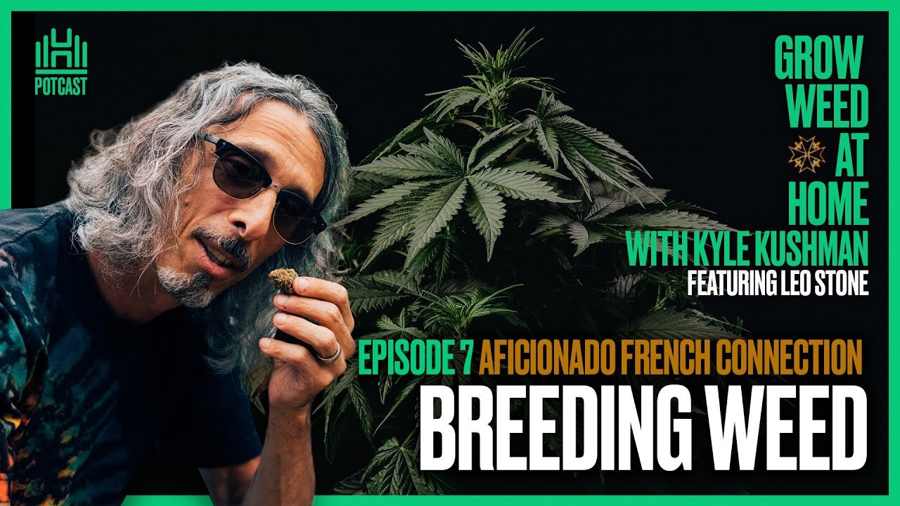 Cannabis Breeding: Humboldt, South America, & Europe with Leo Stone & Kyle Kushman | Episode 7