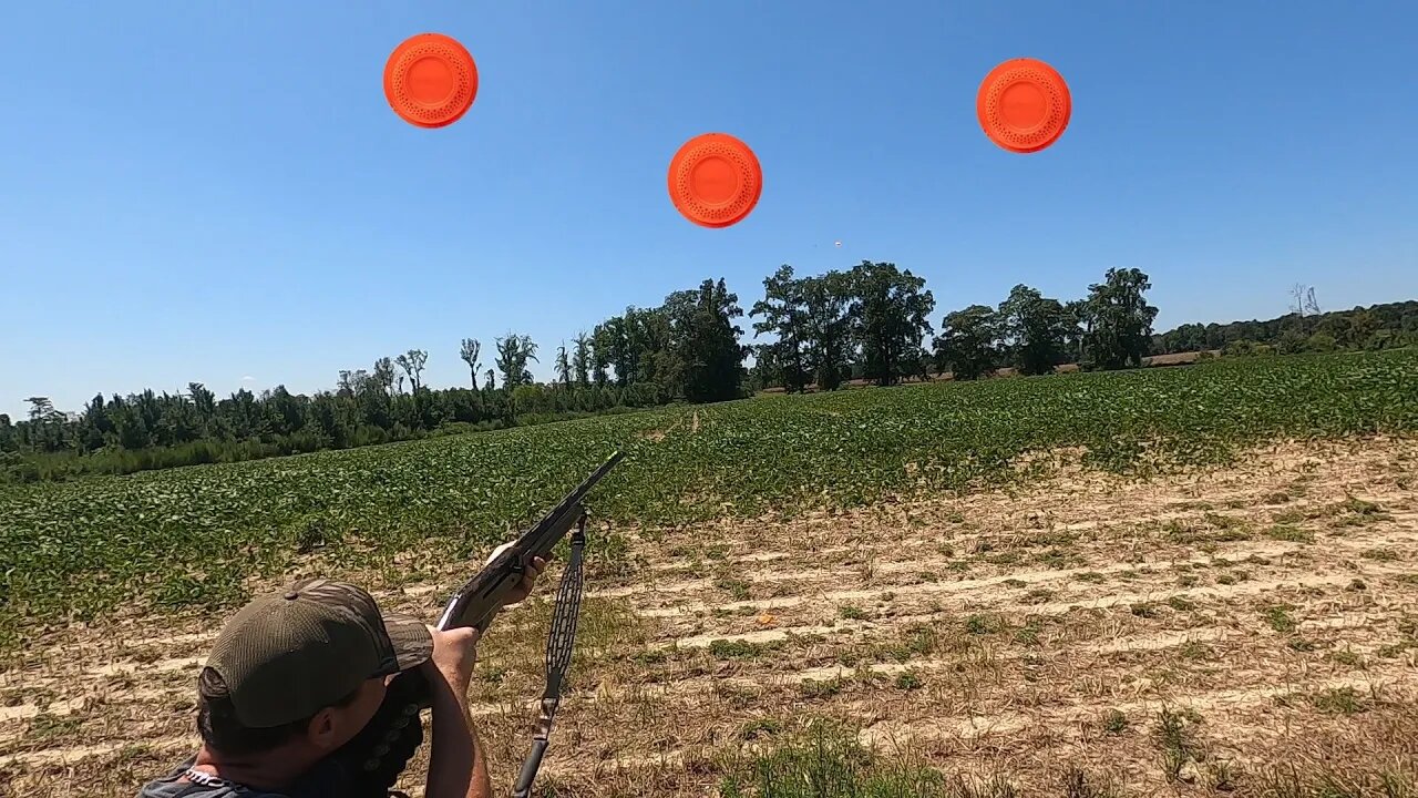 Practice for Dove Hunting Season: Sharpening My Shooting Skills!