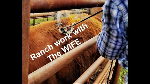 Ranch Work with Your SPOUSE (In the Chute - Round 59)