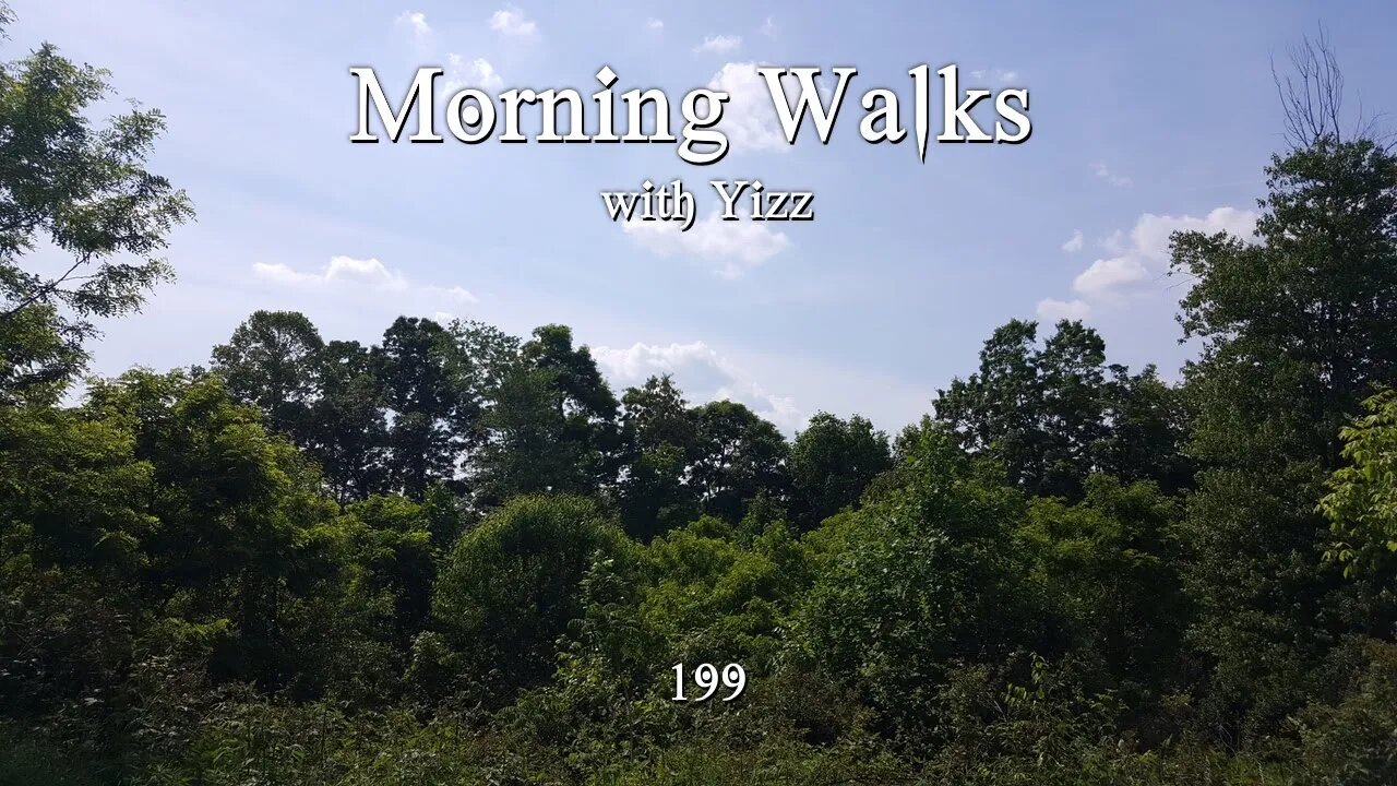 Morning Walks with Yizz 199