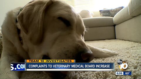 Complaints to the State Veterinary Medical Board increase