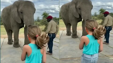 Elephant Imitating the girl dance 🥰