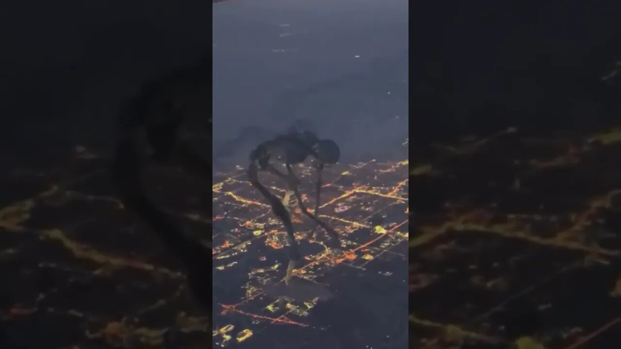 Wyd if you see this