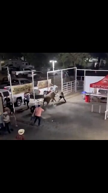 Rodeo Bull Hops Fence Charges Spectators, Injures 4