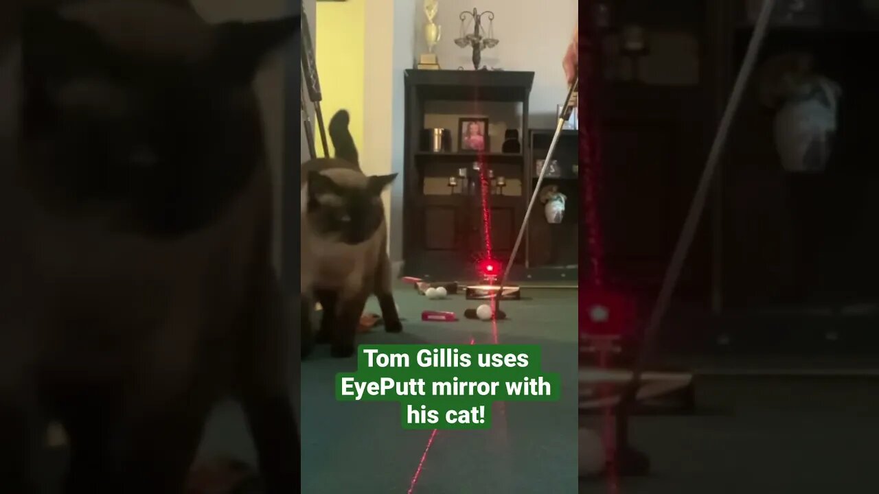 Tom Gillis using EyePutt Mirror with his cat! #tomgillisgolf #golf #cats