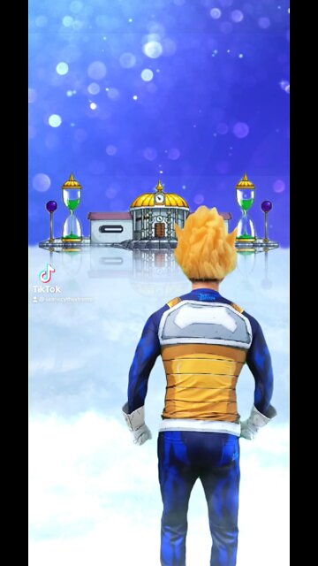 Vegeta & Goku in Hyperbolic Time Chamber