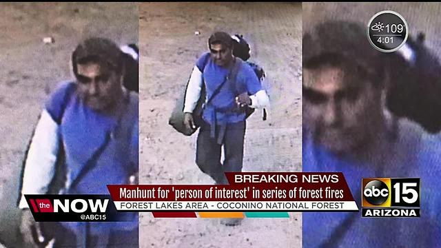 Canyon Point Campground shooting: Officials search for man who opened fire on Arizona forest crew