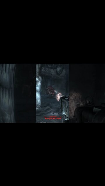 Why You Do Not Bring Companions, Had the Nerve to Ask What Do You Need...