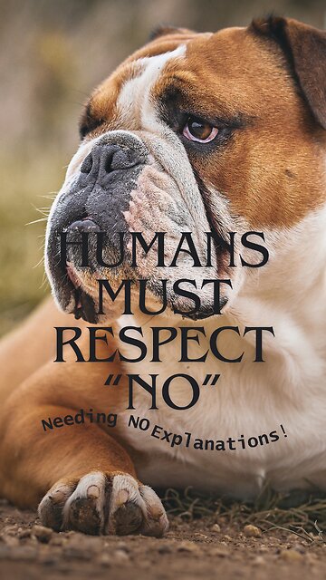 Confident NO: Liberating from Others' Opinions