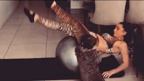 Bebê interrompe sessão de pilates da mãe