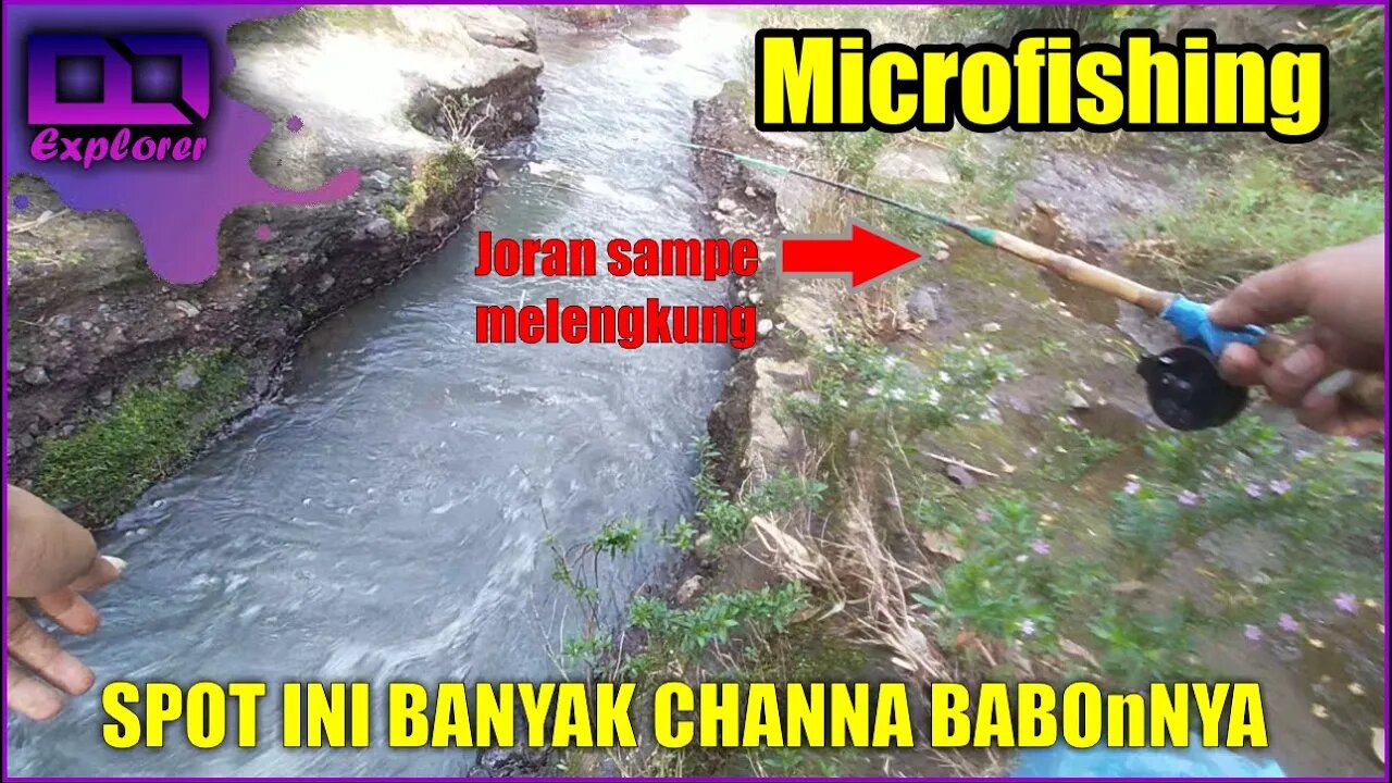 microfishing di ganggu channa limbata Babon ganas banget sampe yang disambar bukan umpannya