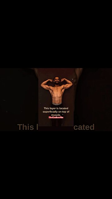 HYPODERMIS | FAT Storage layer #shorts #youtubeshorts #viralshorts #trendingshorts #motivation #gym
