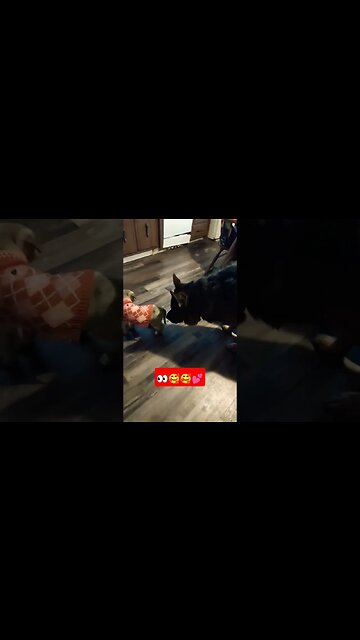 Baby Girl 💕💕💕Making Herself At Home Pt 2 #short #shorts