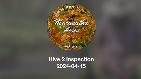 Hive 2 Inspection 2024-04-15