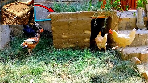 How to make hens house simple Beautiful