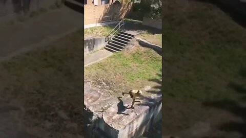 INSANE PARKOUR WORKOUT 💥