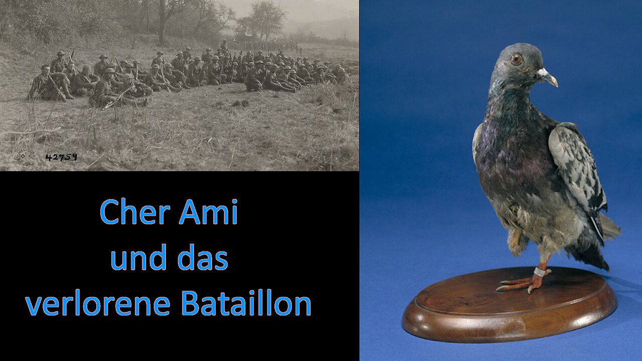 Die Brieftaube Cher Ami und das „verlorene Bataillon“.