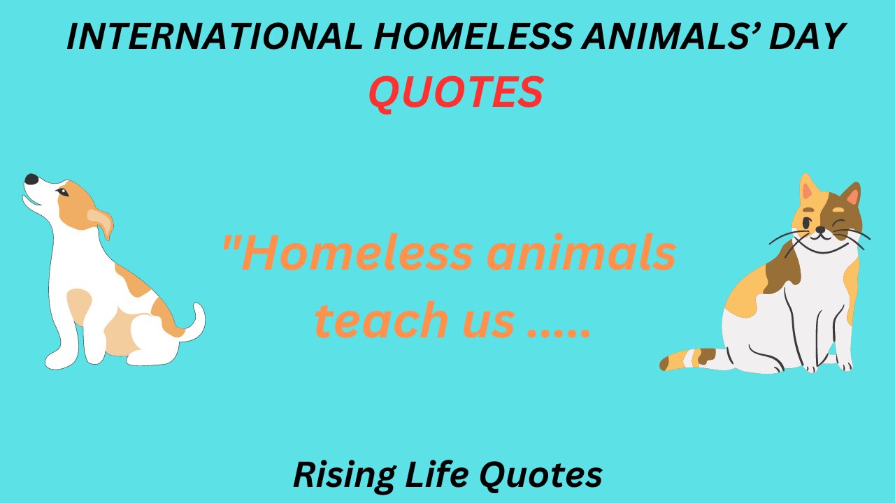 INTERNATIONAL HOMELESS ANIMALS’ DAY Quotes